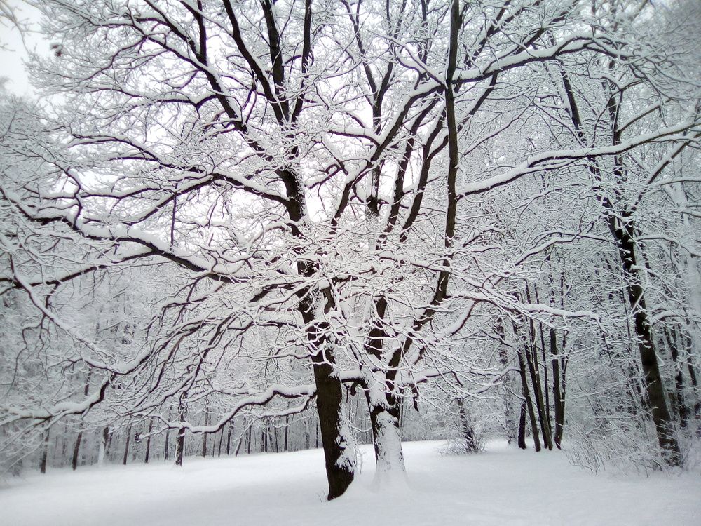 Photograph by Вадим Беляев