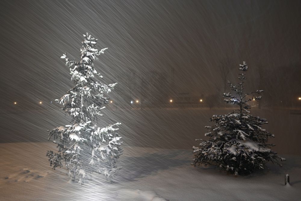 Photograph by Владимир Чернышов