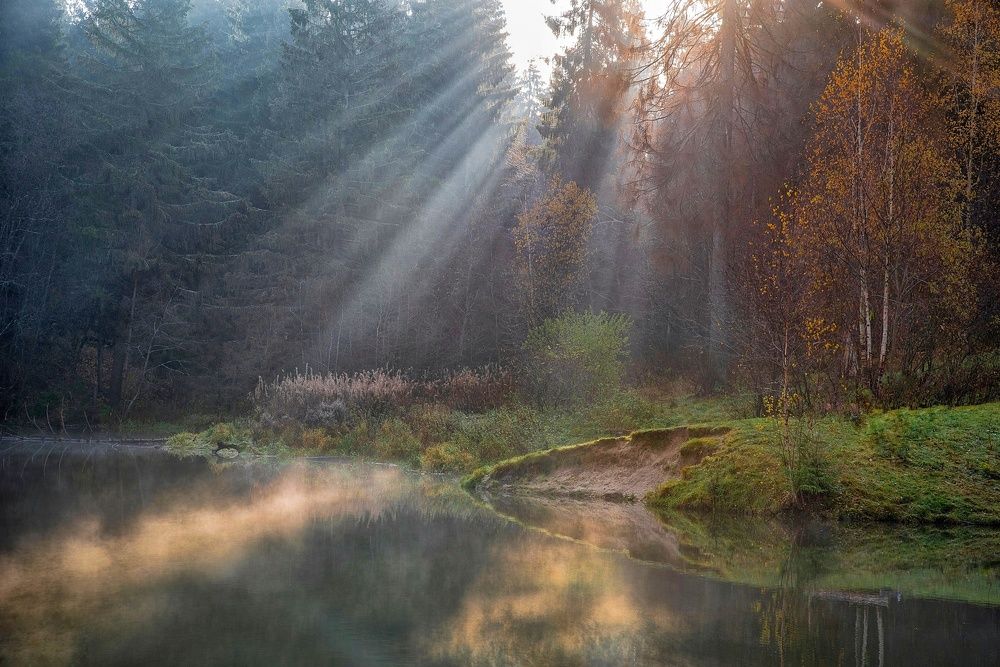 Photograph by Илья Шамин