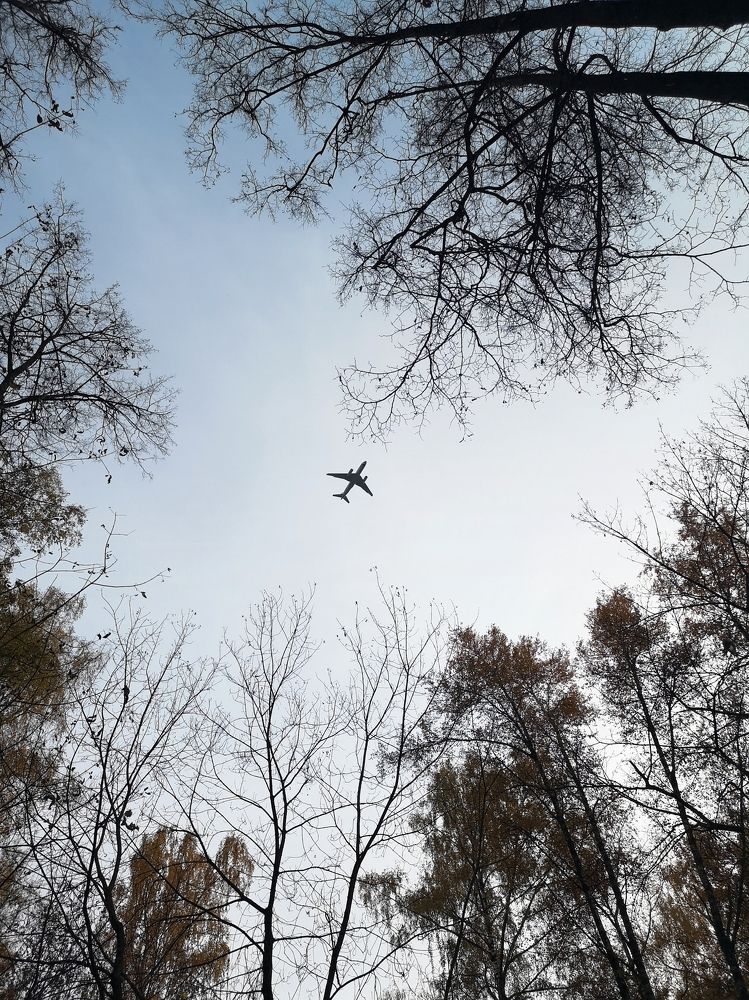 Высокое небо...