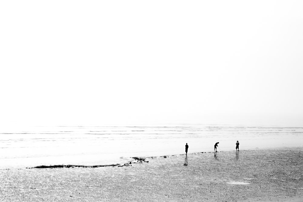 Photograph by phong nguyen