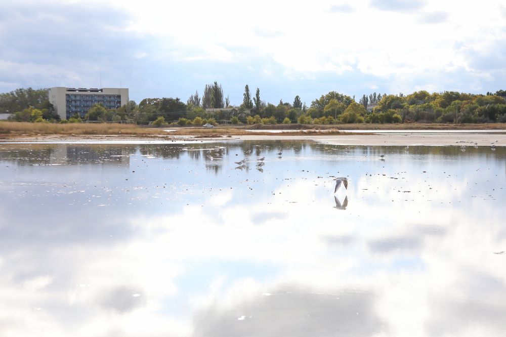 Photograph by Татьяна Скворцова