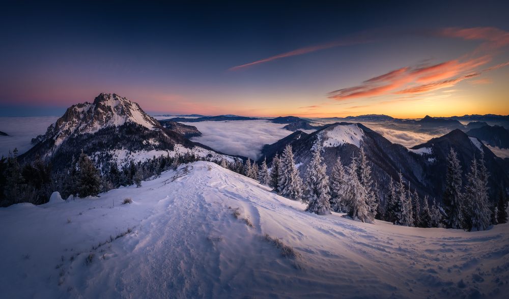 Photograph by Martin Kotucek