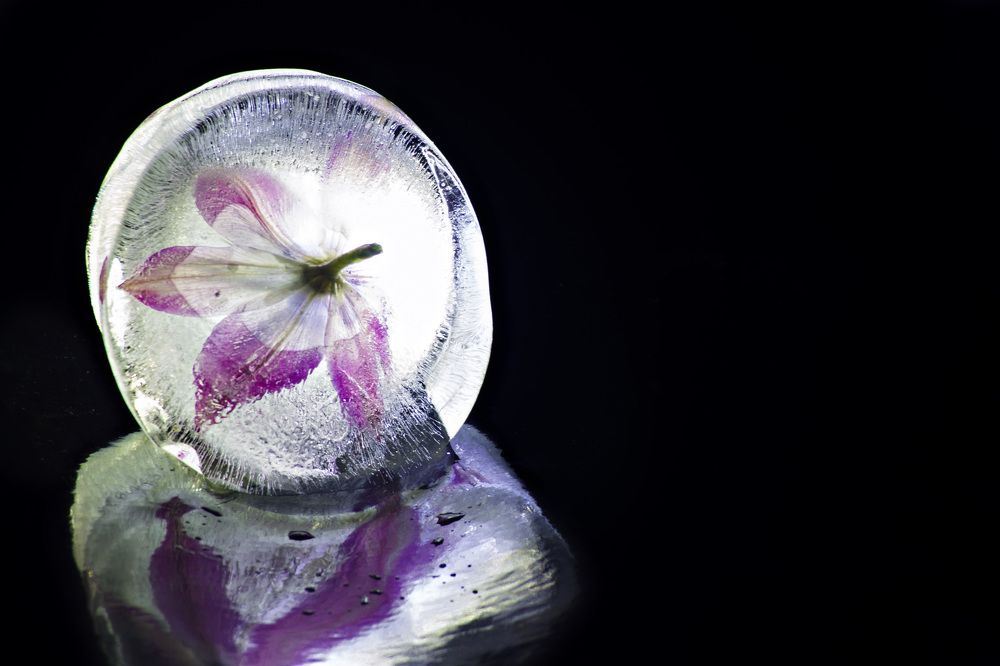 Photograph by Антонина Басалай