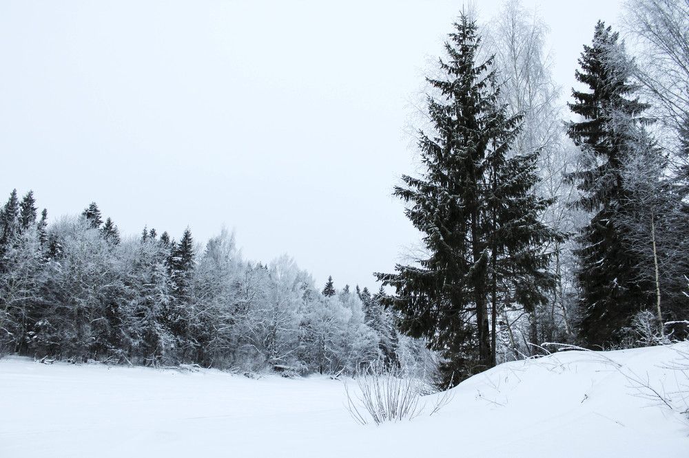 Photograph by Елена Коровкина