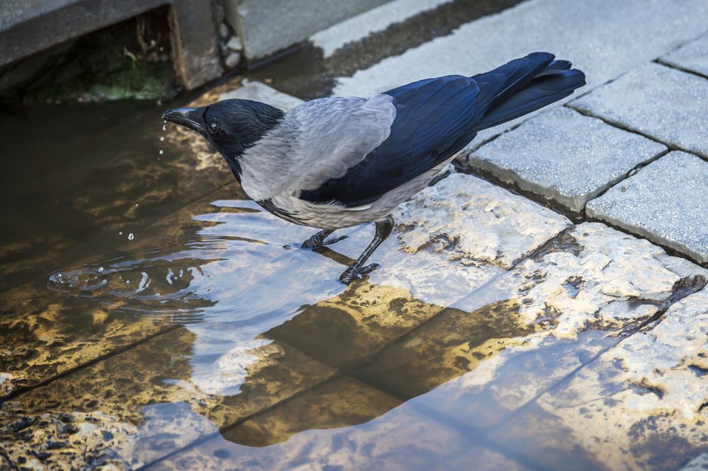 Photograph by Рут