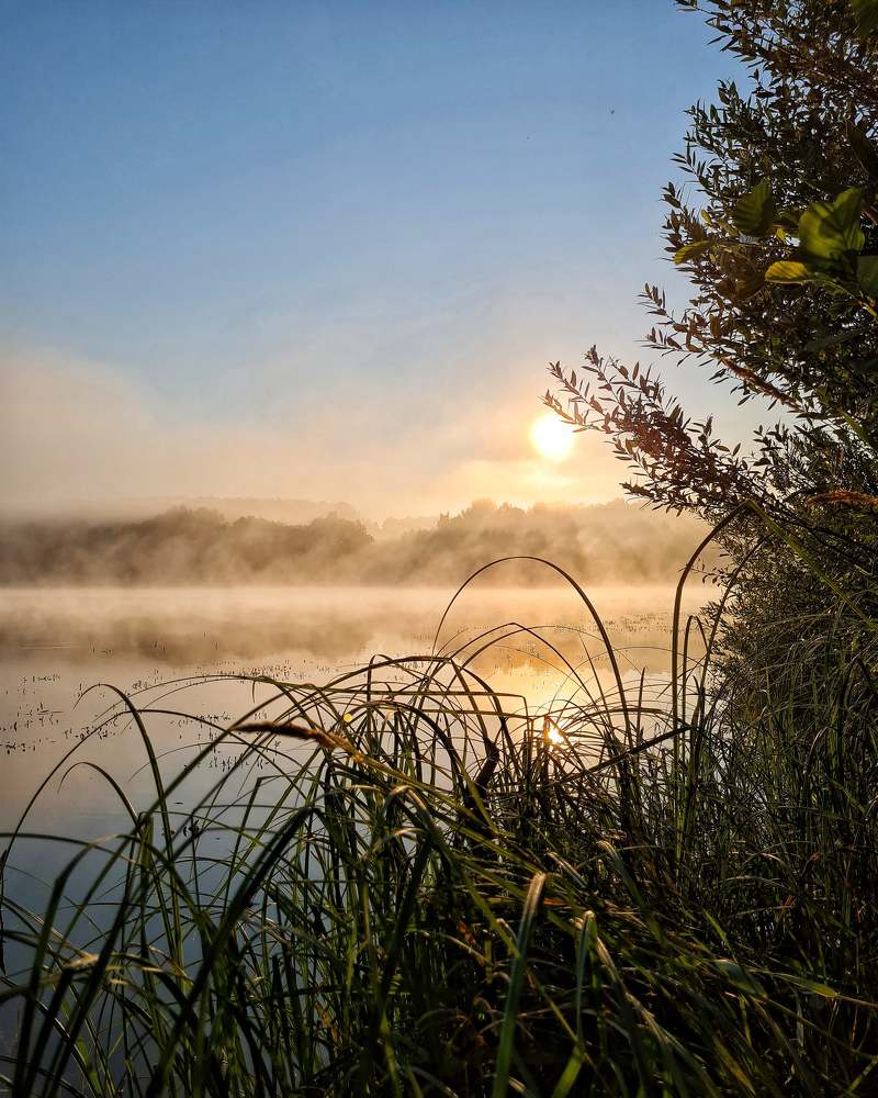 Photograph by Мария Шамина