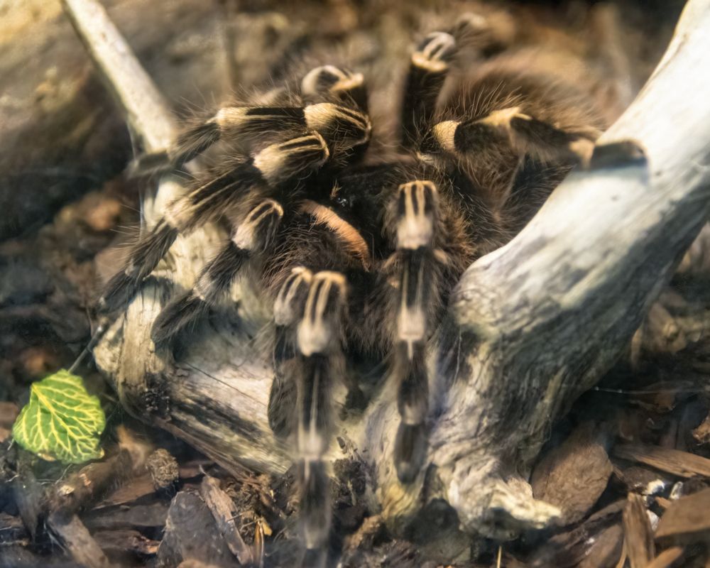 Photograph by Хижняк Александр