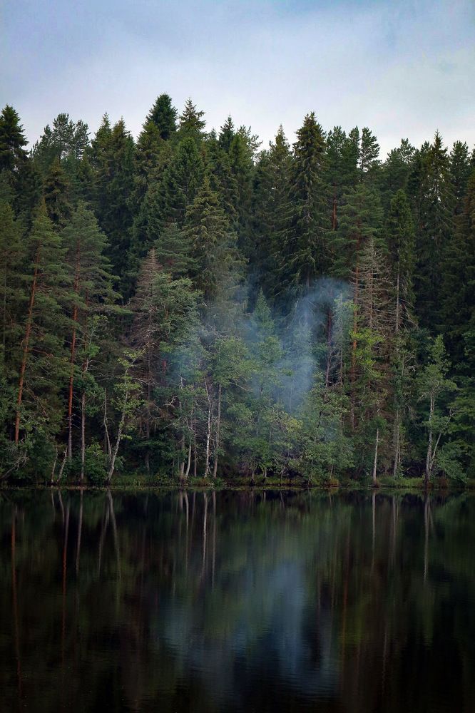 Photograph by Anastasia Biryukova