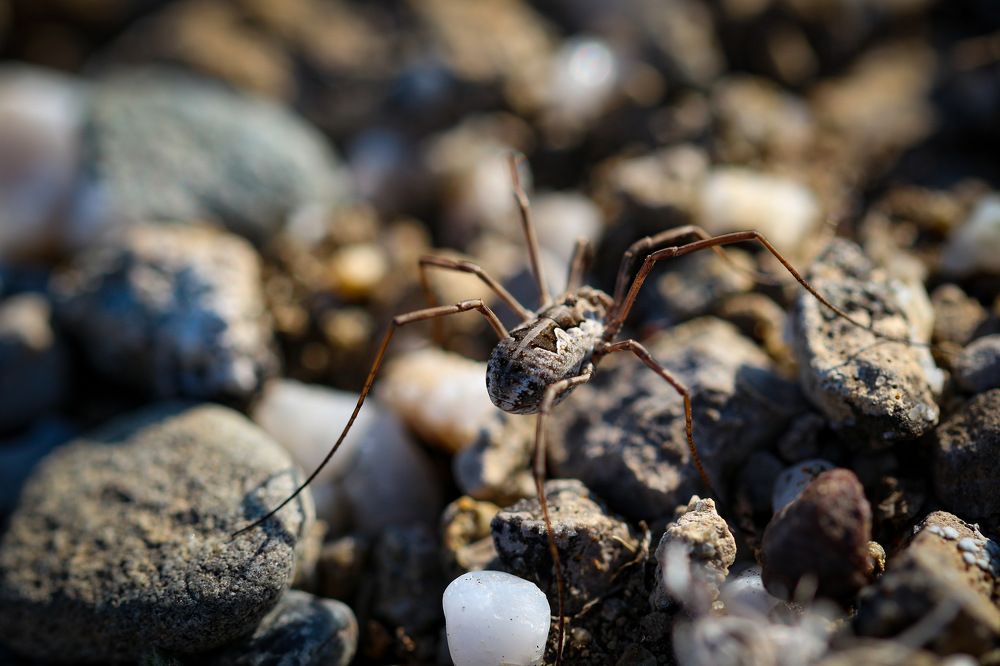 Photograph by Anastasia Biryukova