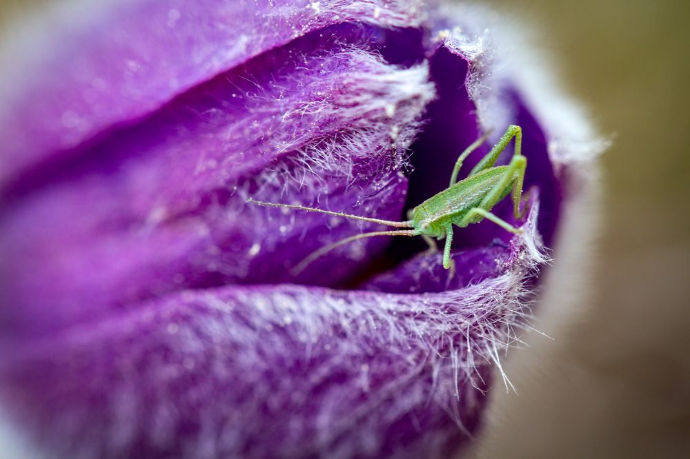 Photograph by Anastasia Biryukova