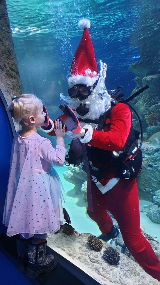 Photograph by Хлебова Елена