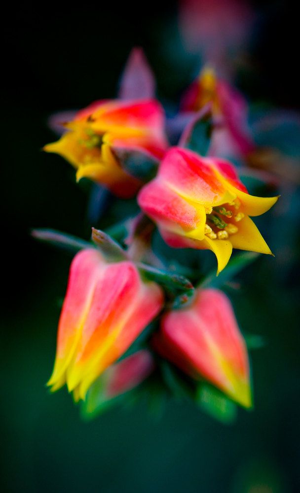 Photograph by Anastasia Biryukova