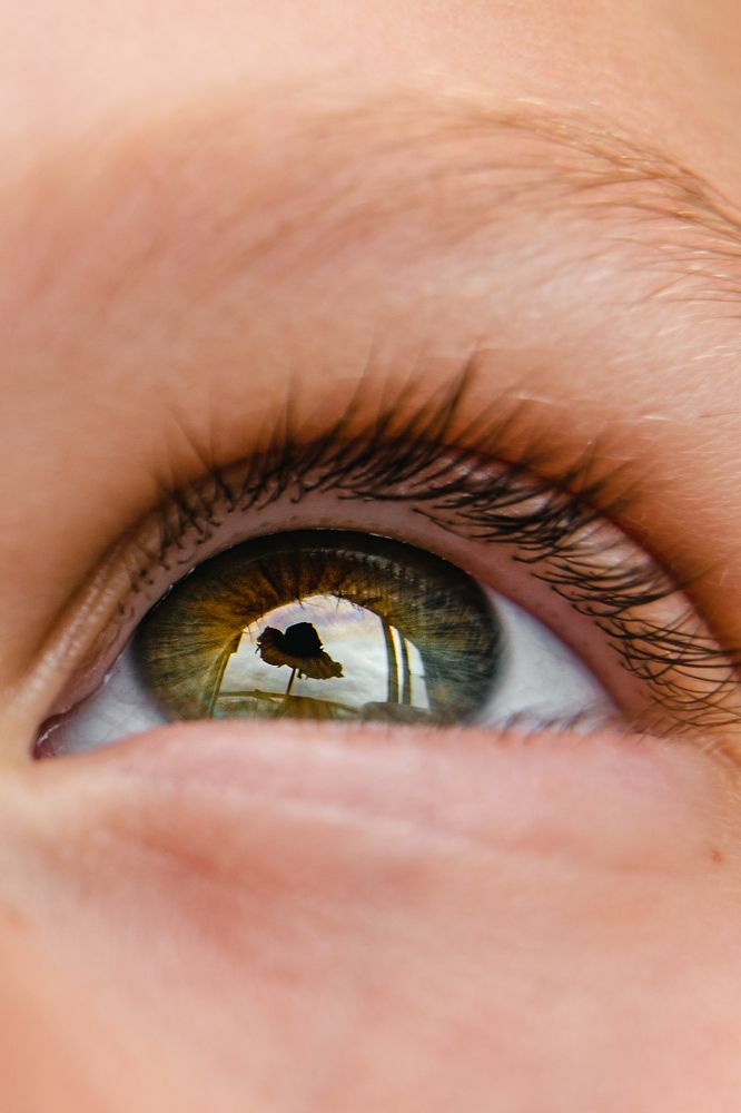 Photograph by Svetlana Reicher