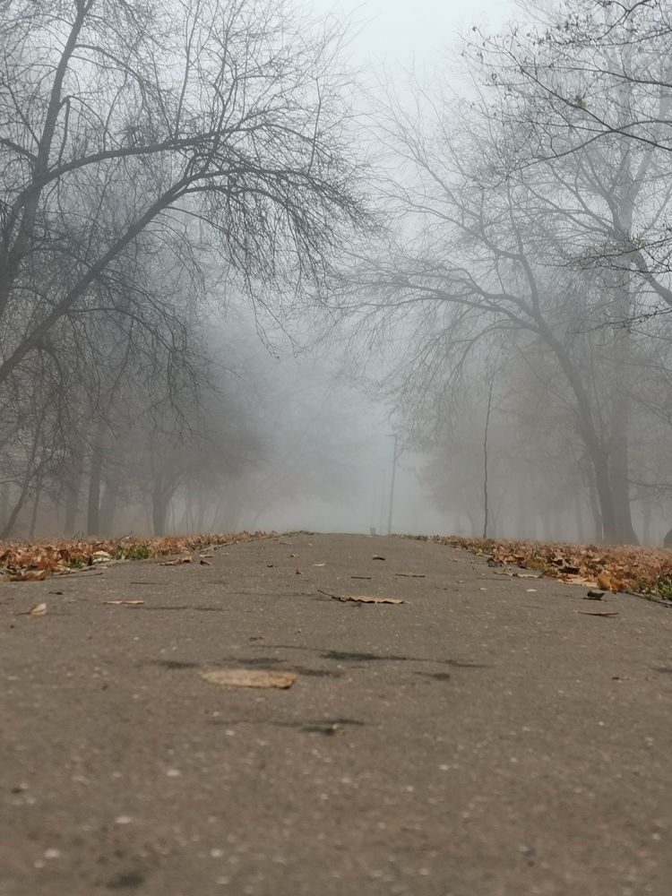 Доброта тумана