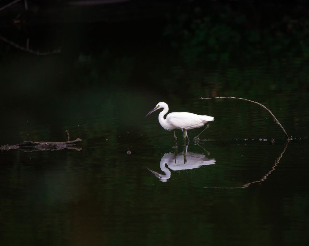 Photograph by Евгения Журавлева