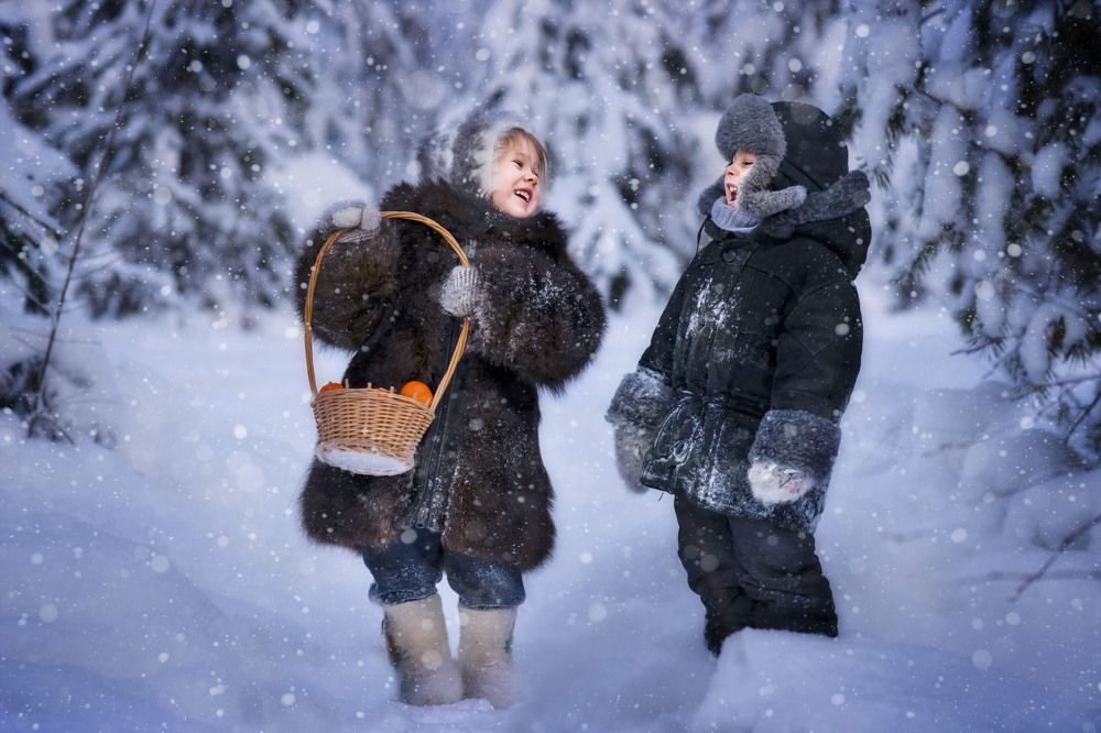 Рождество в сказочном лесу