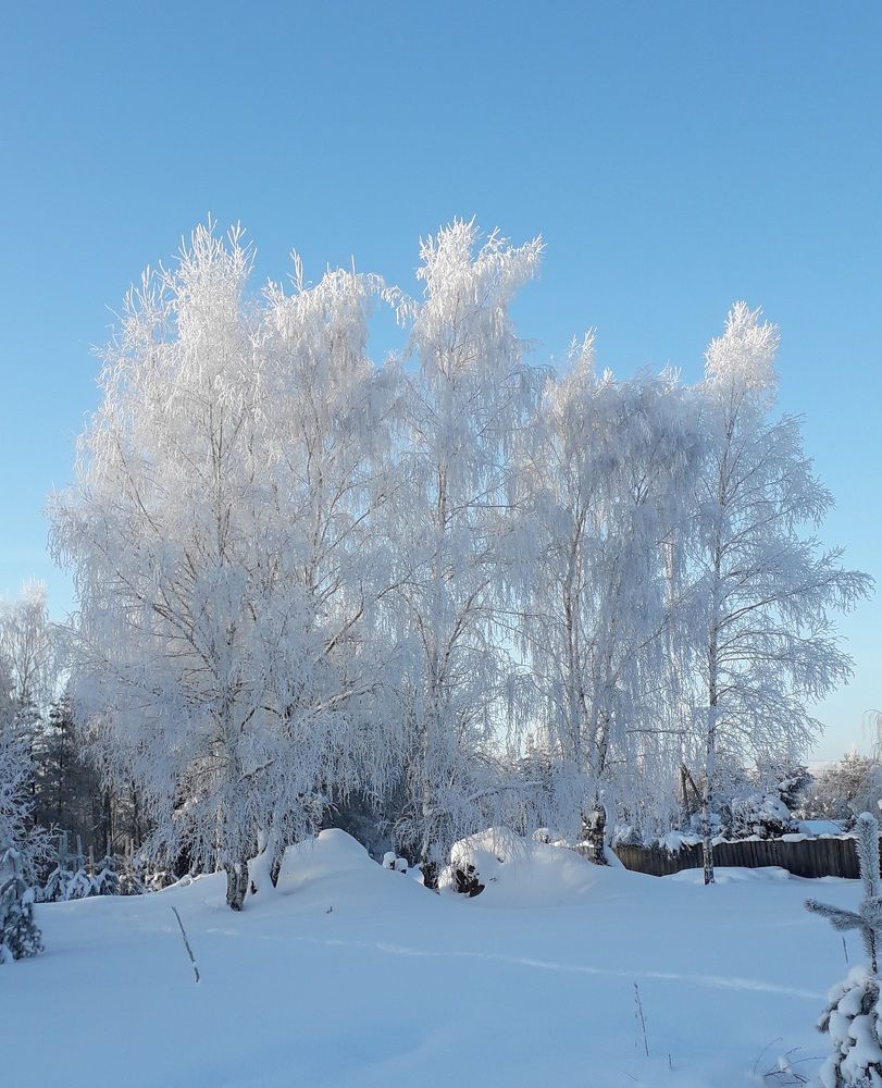 Photograph by Elena Morozova