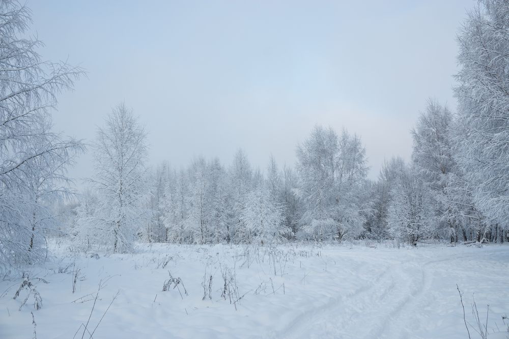 Photograph by Alexandr