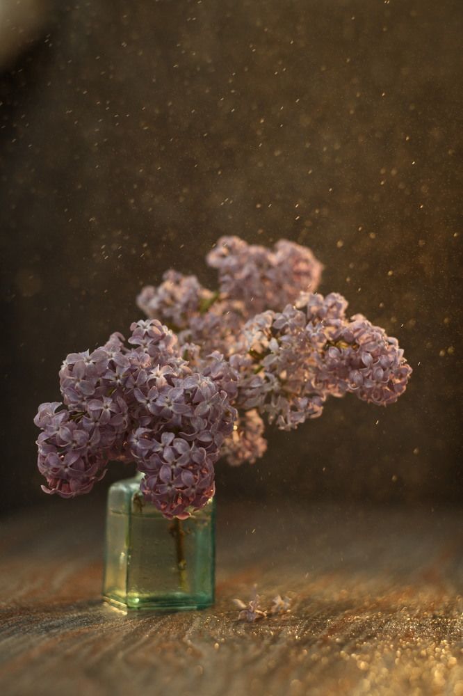 Photograph by Ольга Копылова