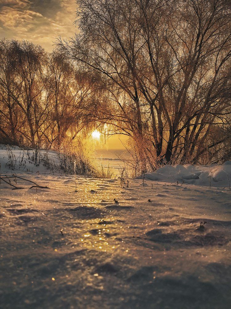 Тунель к свету