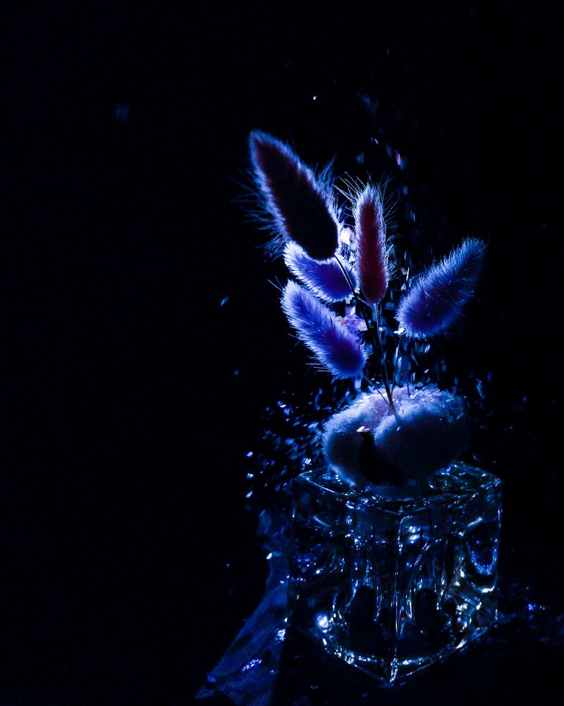 Photograph by Елена Леонидовна