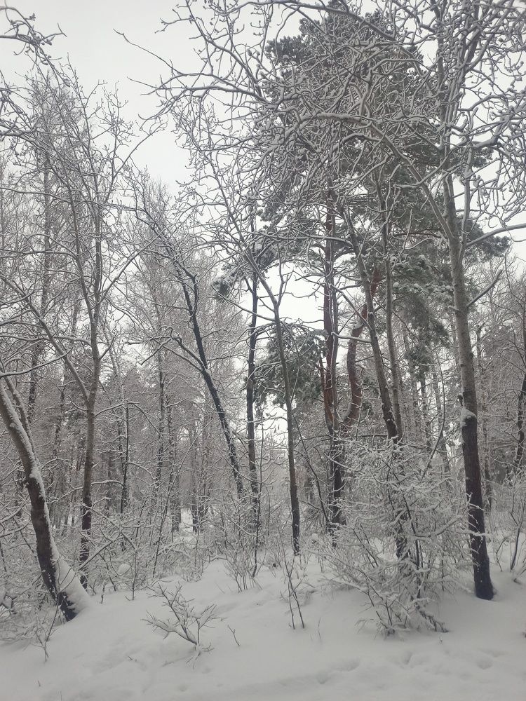 Photograph by Елизавета Мишина