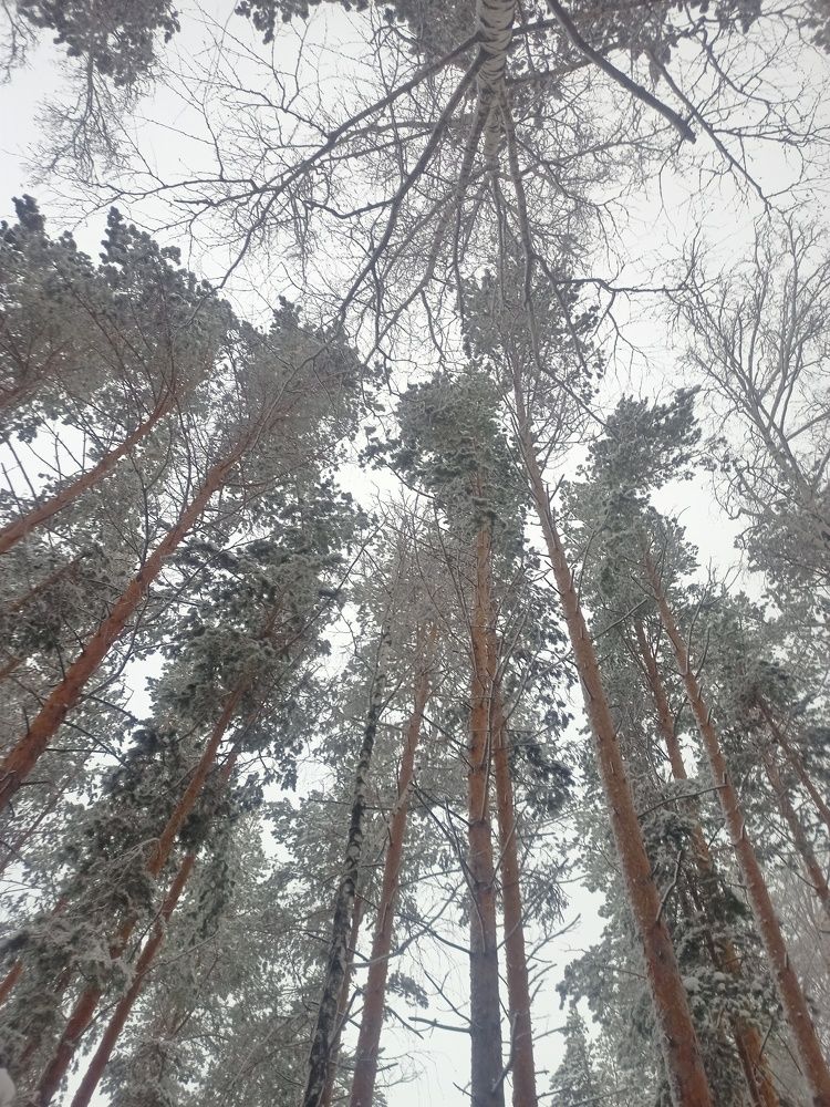 Photograph by Елизавета Мишина