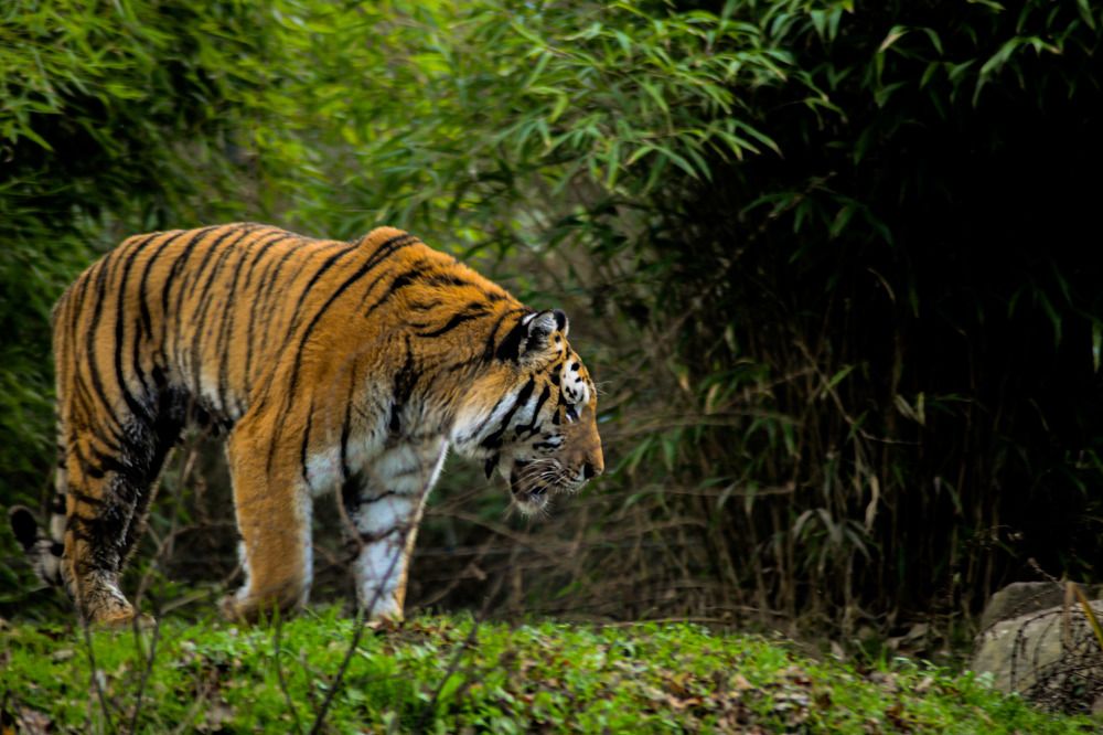 Photograph by Luka Mitrovic