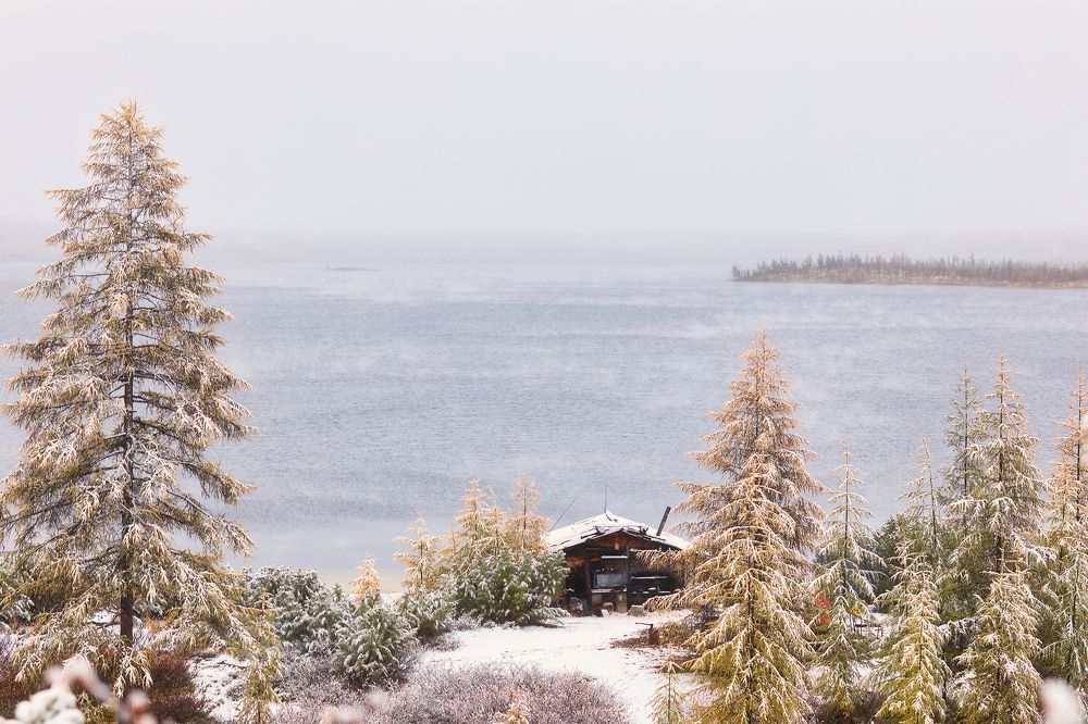 Photograph by Владимир Кочкин