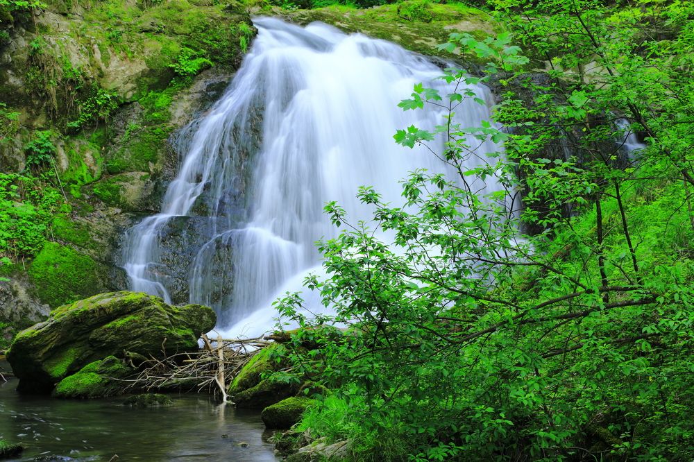 АЛЬПИЙСКИЕ ВОДОПАДЫ