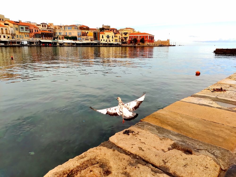 Photograph by Елена