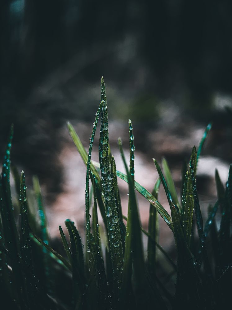 Photograph by Юлия Быкова