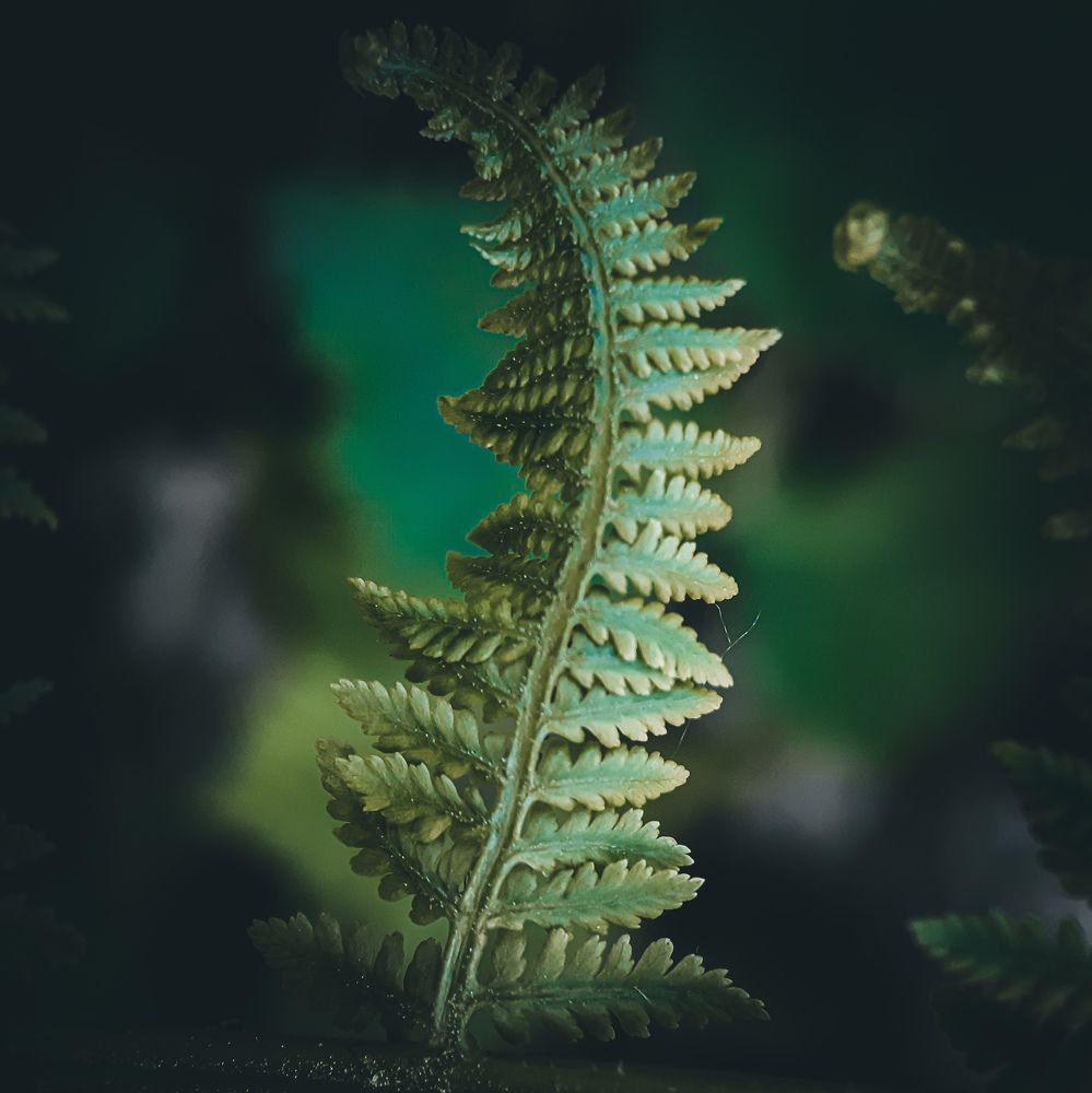 Photograph by Юлия Быкова