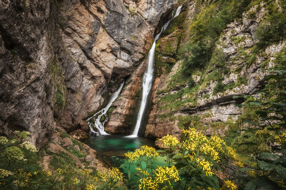 Photograph by Iris Lara