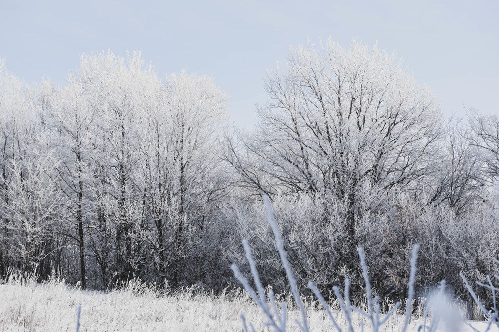 Photograph by Альбина Гараева