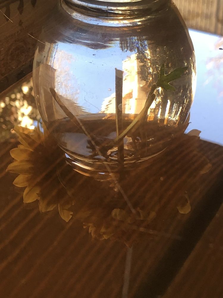 Photograph by Mehrzad Salimi khiati