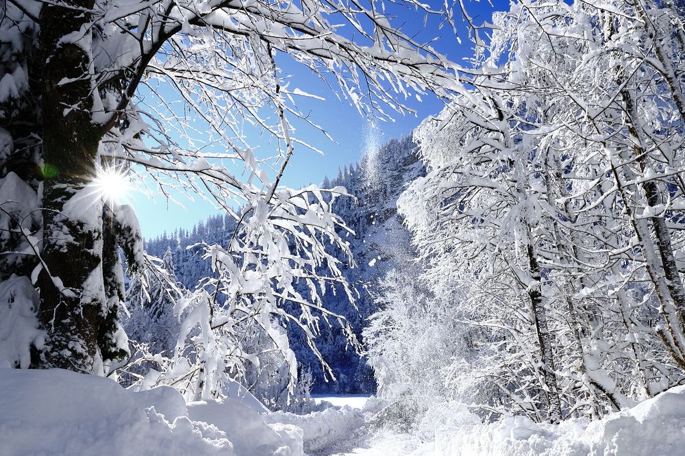 Снежная нежность