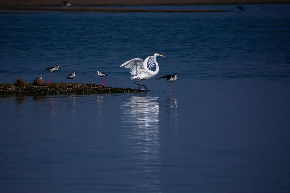 Photograph by Gudepu Manikanta