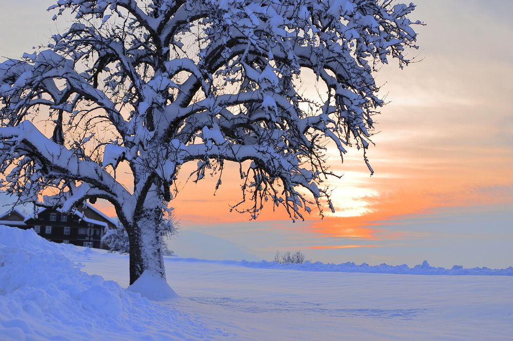 Зимний закат