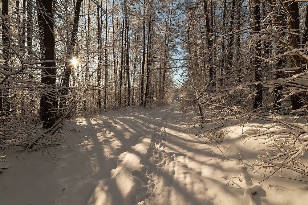 Photograph by Виталий Стрельцов