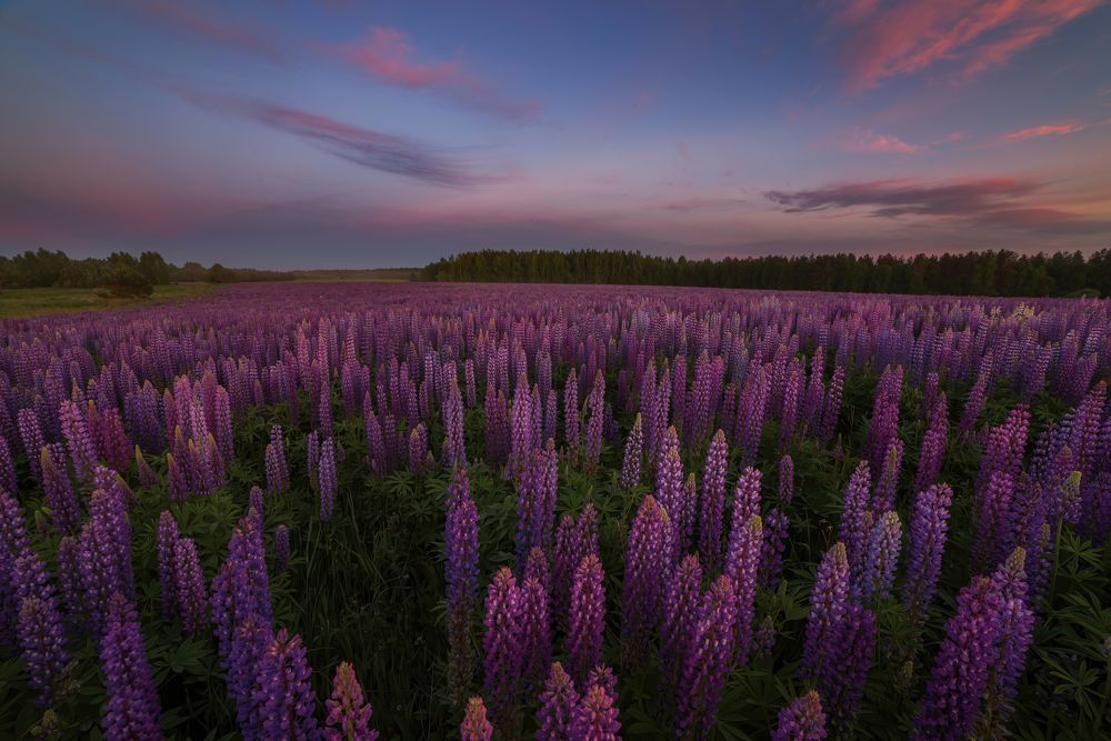 Photograph by Марина Мурашова