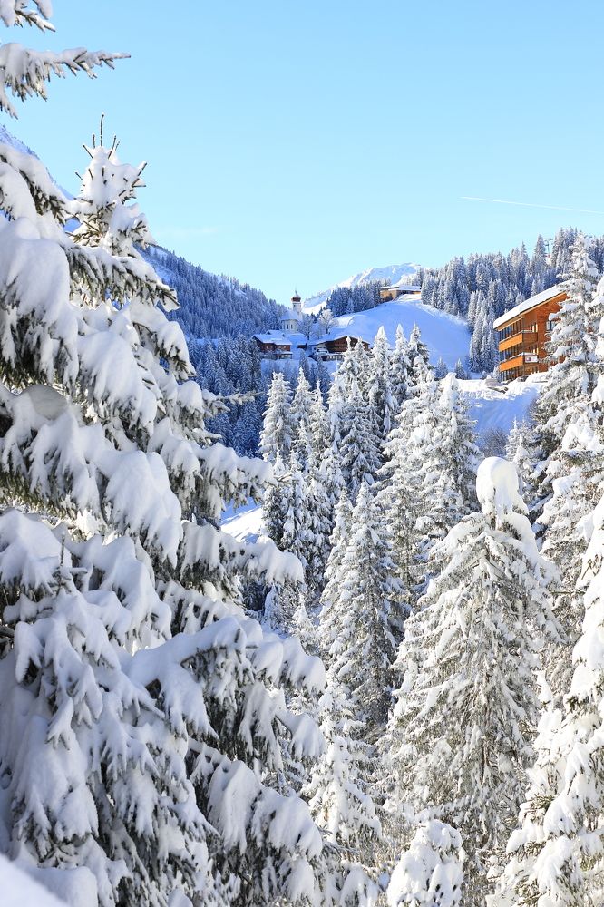 Снежный Damuls