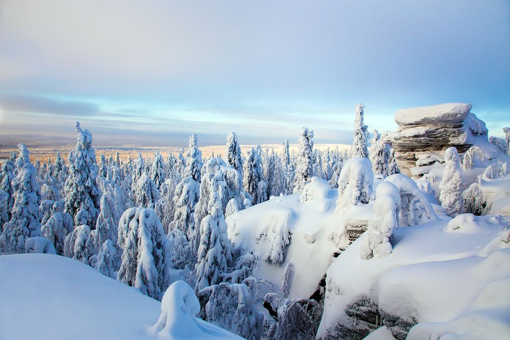 Photograph by Сергей Чарушин