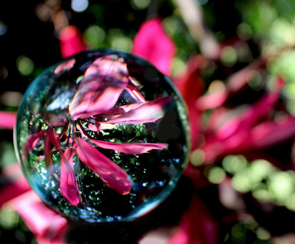 Photograph by Mariela Sandoval