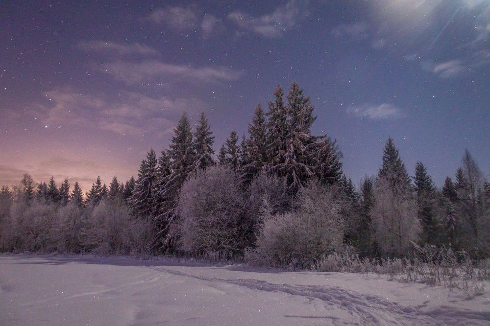 Фотография автора Даниил Бабей