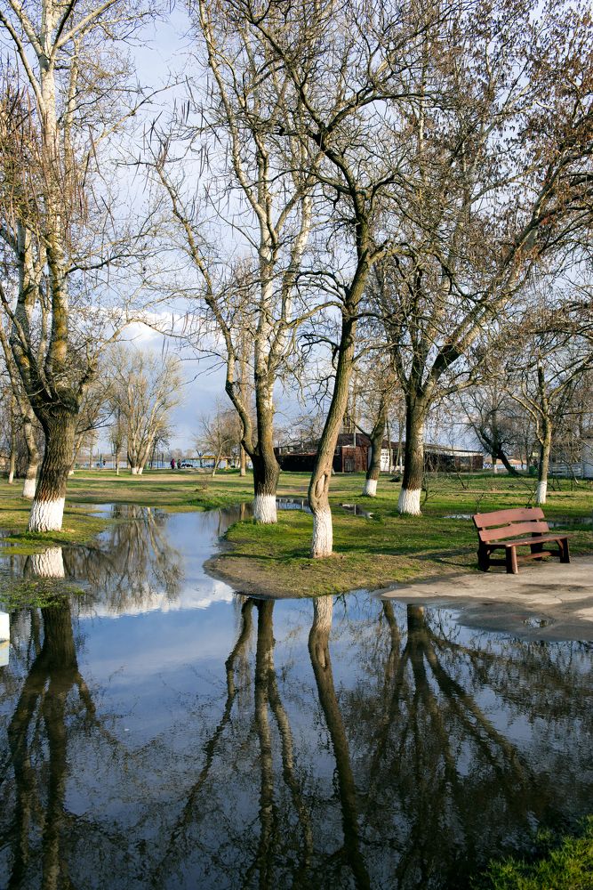 Photograph by Николай Багно