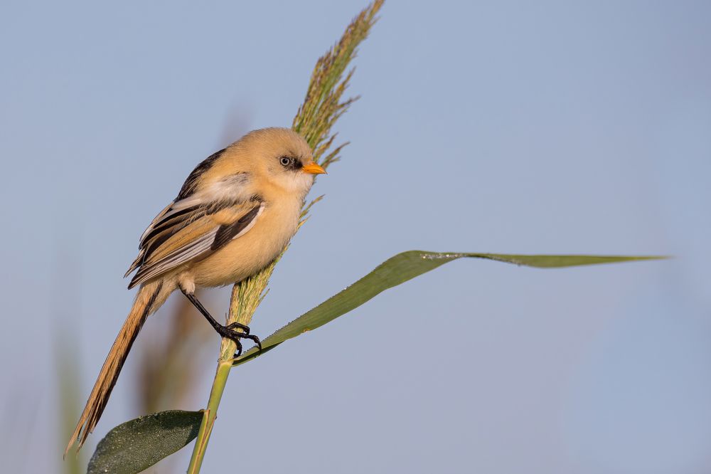 Photograph by Дина Нестеркова