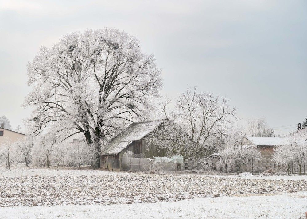 Photograph by Agnieszka Szadowiak