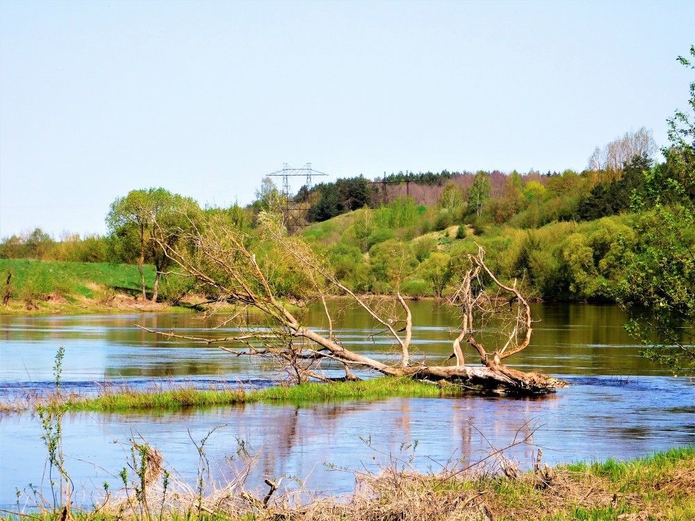 Photograph by Виктория Спицына